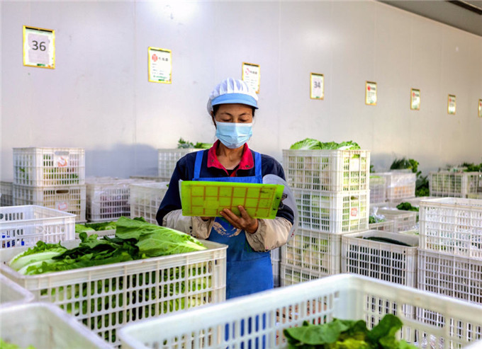 广西融水：高质量做好学生食品安全工作