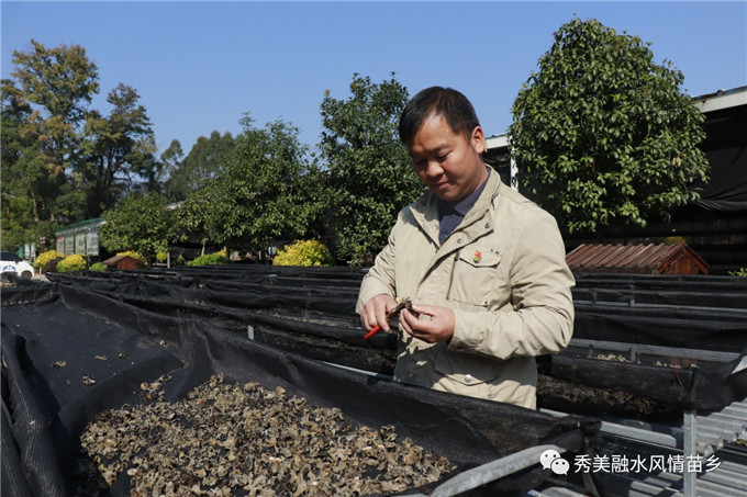 马林：艺术学院毕业的“种菌师傅”